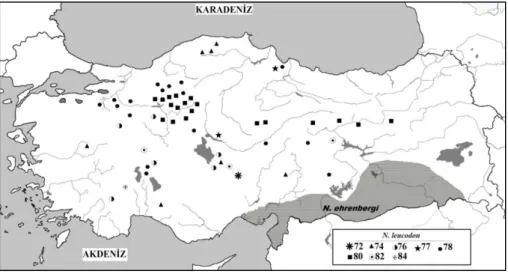 Figure 2. Distribution of populations with different NF values belonging to  2N=60 chromosomal form in Turkey