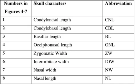 Figure 7. Character measurements taken from mandible  