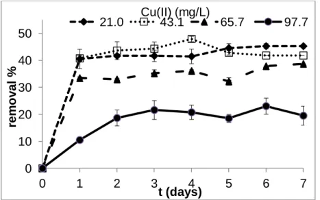 Figure 2. Effect of initial copper(II) concentration on copper(II) removal  during the incubation period 