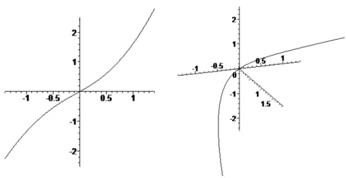Figure 1. a-b A lightlike proﬁle curve.