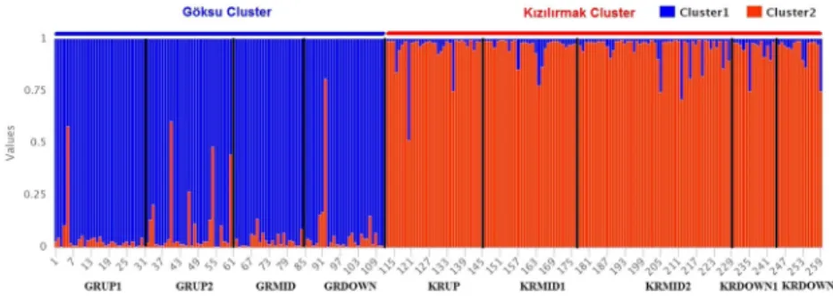 Fig. 4 Graphical representation of the cluster membership of 259 S. alba genotypes from nine populations sampled from the Göksu and K ızılırmak rivers