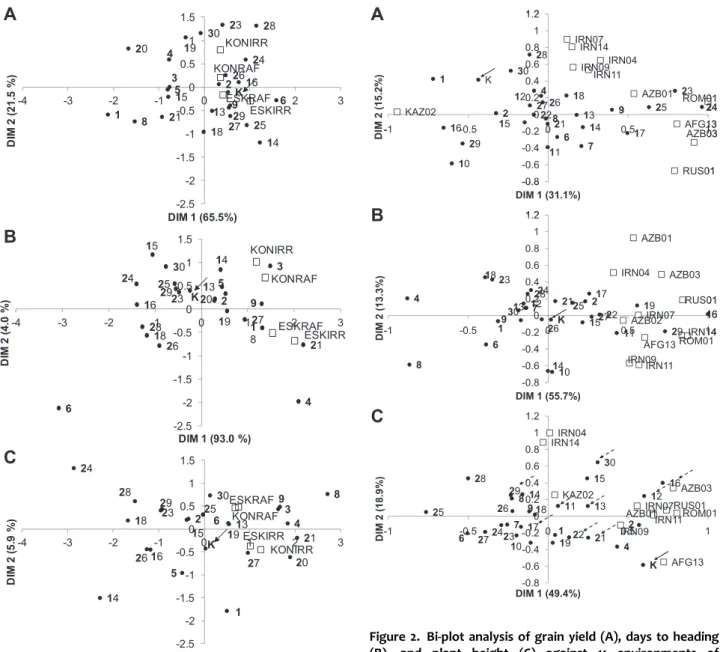 Figure 1. Bi‐plot analysis of grain yield (A), days to heading (B), and plant height (C) against environments of Trial A in Eskisehir and Konya rainfed (ESKRAF and KONRAF,  respec-tively) and with supplemental irrigation (ESKIRR and KONIRR, respectively) w