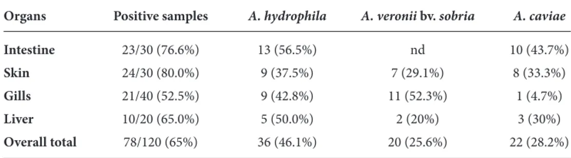 Table 2. The distributions of Aeromonas species in different body parts of fish samples examined.
