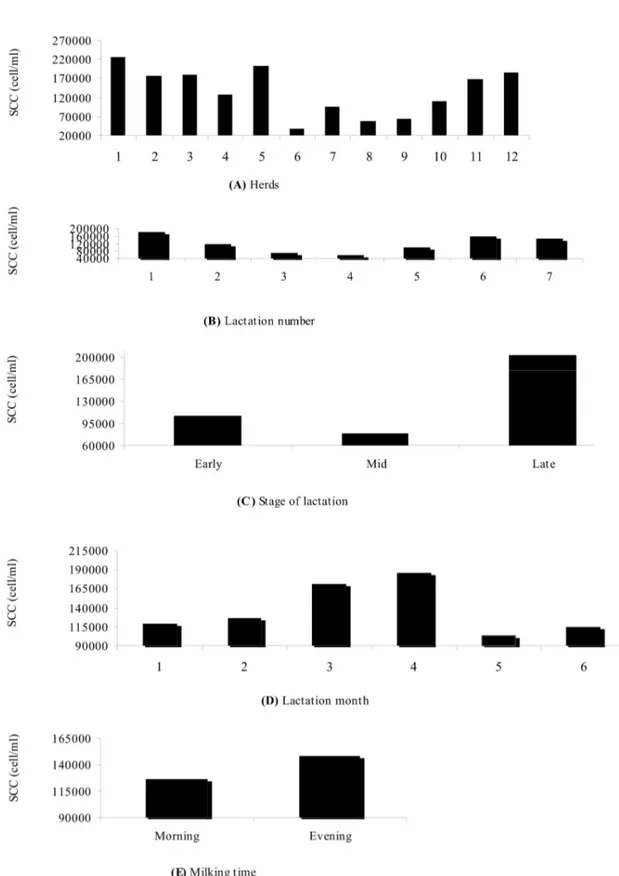 Fig. 1. Effect of herd (A), lactation number (B), stage of lactation (C), lactation month (D) and milking time (E)  on mean SCCS in milk