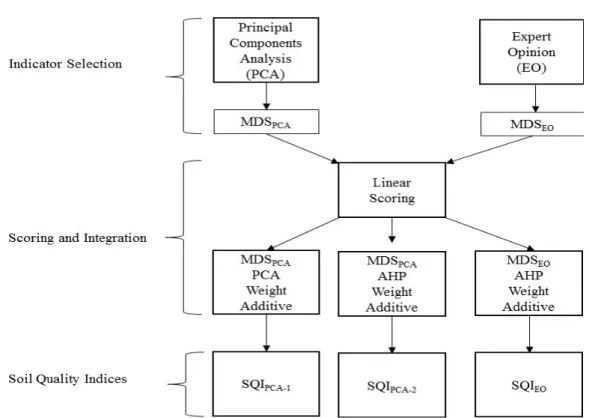 Figure 4. Steps in soil quality assessments 