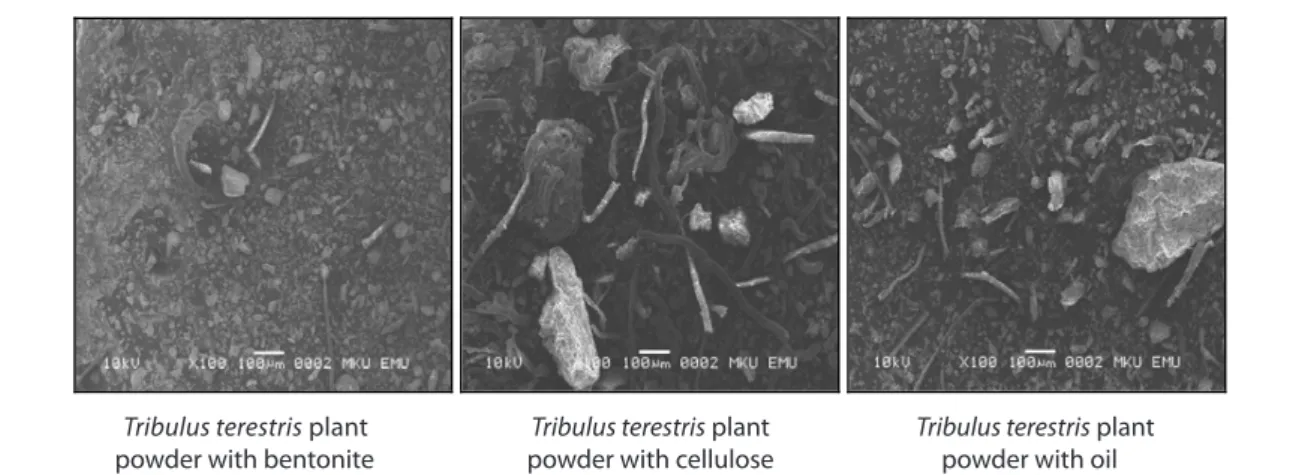 Table 4. The effects of plant powder of Tribulus terestris with different carriers on the growth performance of broiler chicks