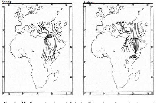 Fig.  1.  Migration  routes  for  waterfowl  in  Turkey  in  spring  and  autumn  periods