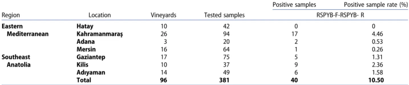 Table 3. Identification of GRSPaV with RSP13/14 and RSPYB-F/R primers in grapevines from in the Eastern Mediterranean and Southeastern Anatolia.