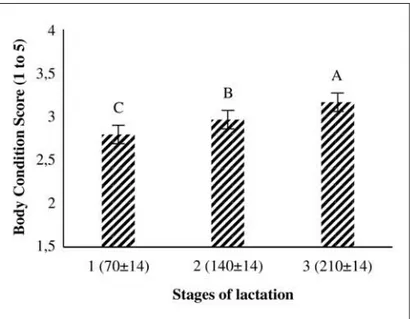Figure 1 - Effect of stage of lactation on IGF-I. Figure 2 - Effect of stage of lactation on BCS.