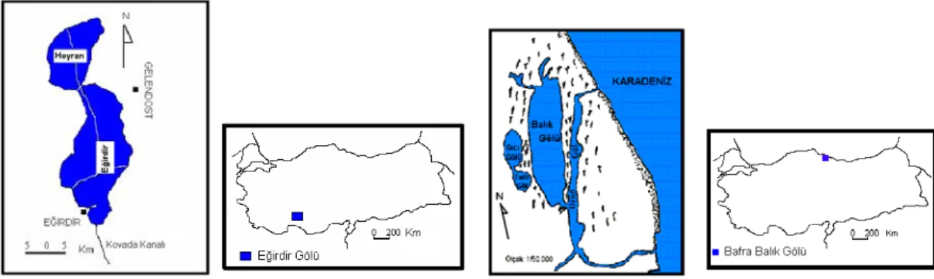 Şekil 2. Eğirdir Gölü haritası               Şekil 3. Bafra Balık Gölleri haritası 