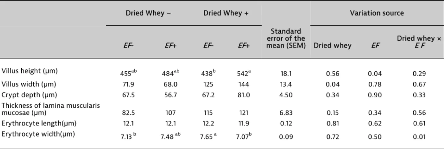 Table 3. Effects of in ovo injection of dried whey and  Enterococcus faecium  to fertile chicken eggs on ileal histomorphology and erythrocyte  morphology
