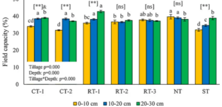 Fig. 9. Permanent wilting point (%) under diﬀerent soil tillage treatments. Lower case letters indicate signi ﬁcant diﬀerences (P &lt; 0.05)