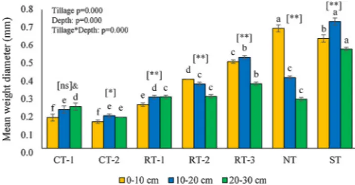 Fig. 2. Mean weight diameter (mm) under di ﬀerent soil tillage treatments. Lower case letters indicate signiﬁcant diﬀerences (P &lt; 0.05)