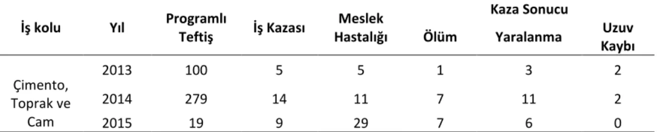 Tablo 12. Metal Sektöründe Yıllar İtibariyle Programlı Teftiş, İş Kazaları ve Sonuçları 