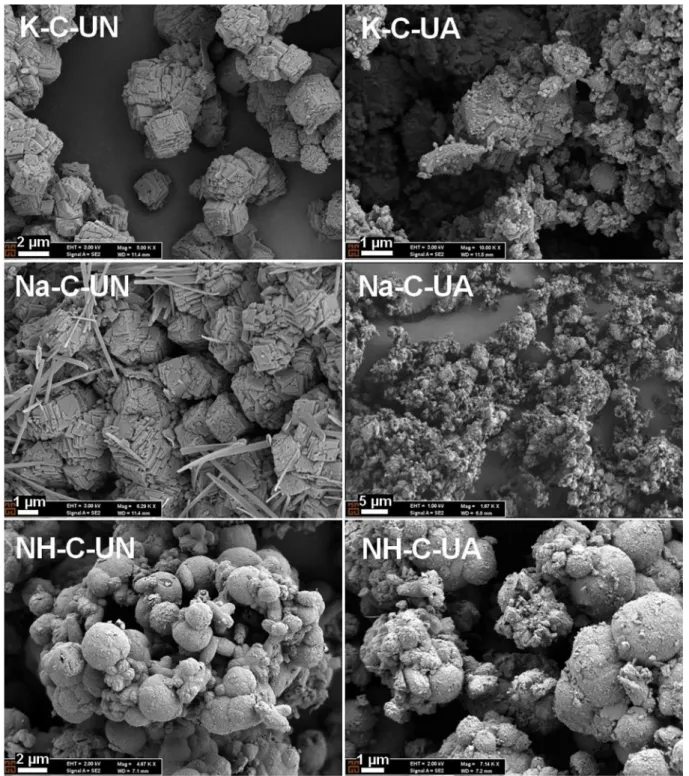 Fig. 9  shows that PCC particles with a unimodal particle size distri- distri-bution could be produced using the conventional reactor, while  pro-duced PCC particles via the venturi tube in the presence of Na + ions  revealed a bimodal pattern with d 10 , 