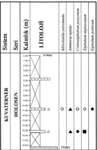 Figure 8. Distribution of the foraminifera in borehole HK-18 (s 1 - 2,  d 3 - 5, m 6 - 15, j 16- 25 and  p more than