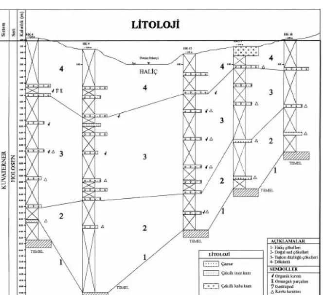 Figure 3. Correlation of the lithofacies associations in Golden Horn boreholes.