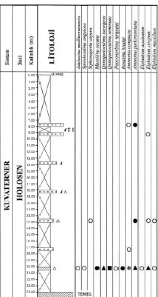 Figure 4. Distribution of the foraminifera in borehole HK-4 (s 1 - 2,  d 3 - 5, m 6 - 15, j 16- 25 and  p more than 25)