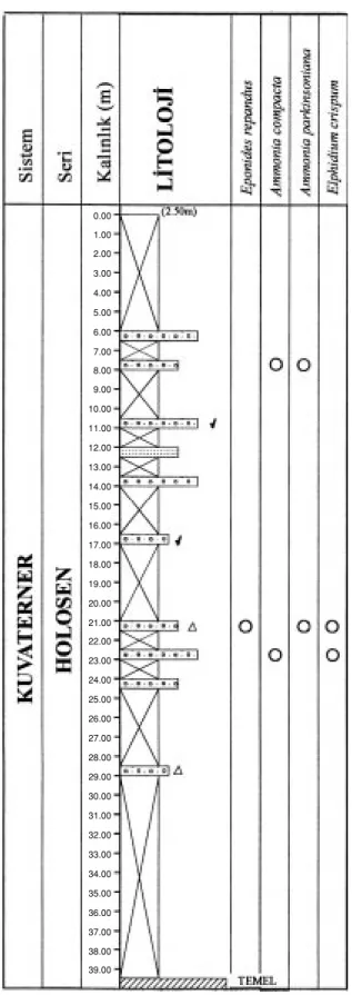 Figure 5. Distribution of the foraminifera in borehole HK-5 (s 1 - 2,  d 3 - 5, m 6 - 15, j 16- 25 and  p more than