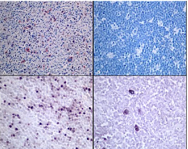 Figure 1. Immunohistochemical and In-situ hybridization staining examples of cases 