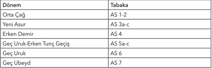 Tablo 1: Aşağı Salat stratigrafisi