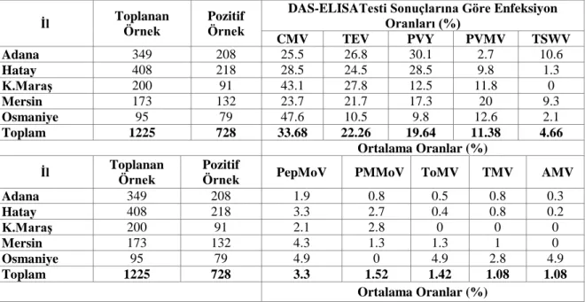 Çizelge  3.  2014  ve  2015  yıllarında  toplanan  biber  örneklerinde  DAS-ELISA  testi  sonucu  bulunan  virüslerin tek olarak değerlendirilmesi 