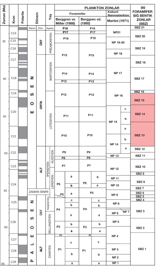 Figure 6. Correlation between the “Shallow Benthic Zones” (SBZ) and the Paleocene-Eocene Time Scale (Berggren et al., 1995).