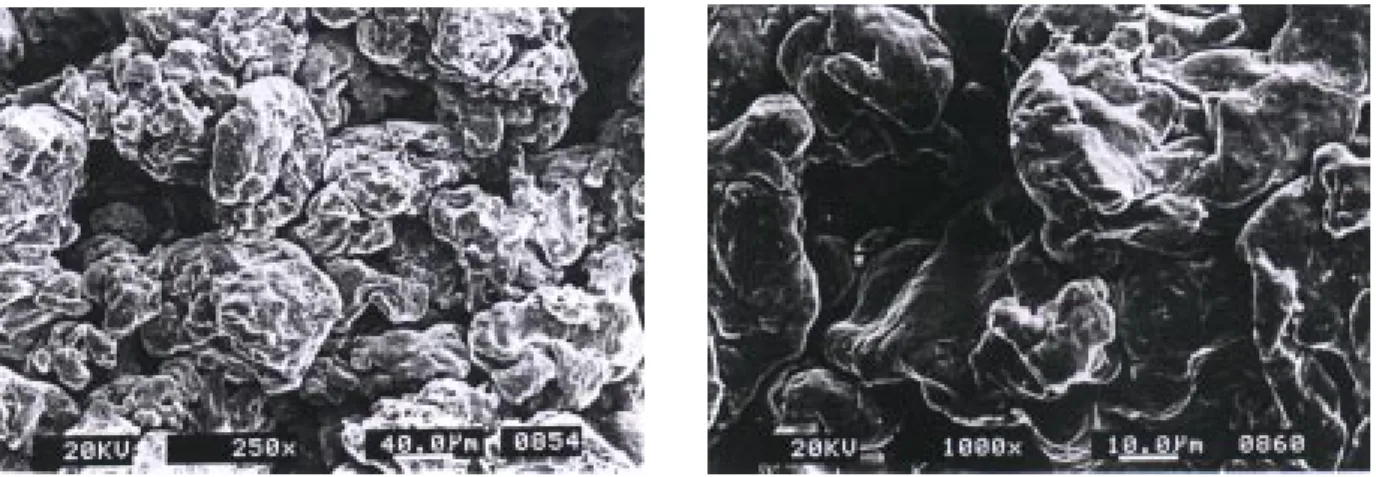 Figure 10. SEM micrographs of iron powders: (a) Before compaction, (b) 200 MPa, (c)300 MPa, (d) 500 MPa