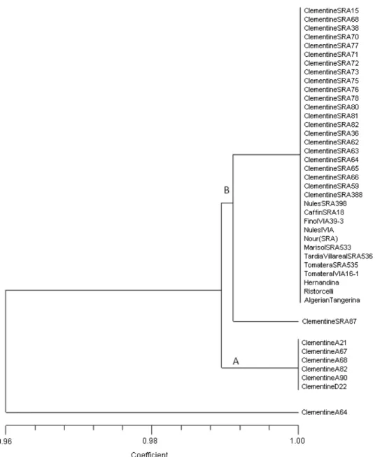 Fig. 4. Dendrogram showed relationships among 42 Clementine accessions based on SRAP  markers (from Uzun et al., 2011a)
