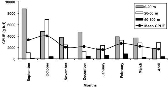 Fig. 2. Monthly distribution of CPUE value for Saurida undosquamis off Karataş coast. 