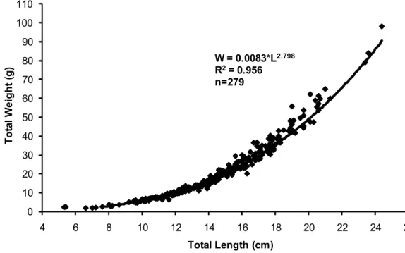 Fig. 4. Length-weight relationship for Saurida undosquamis off th Karataş coast. 