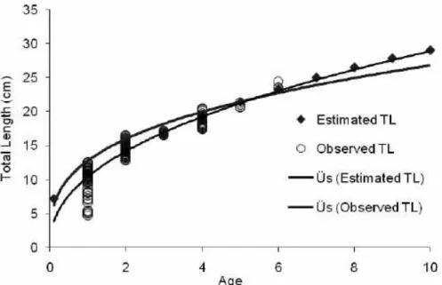 Fig. 5. von Bertalanffy length-at-age growth curve for Saurida undosquamis off Karataş coast
