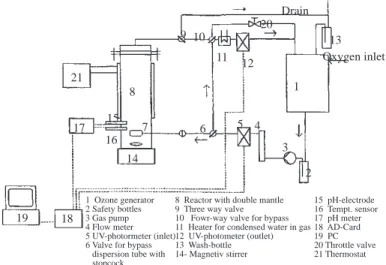 Figure 1. Schematic diagram of the ozonation system