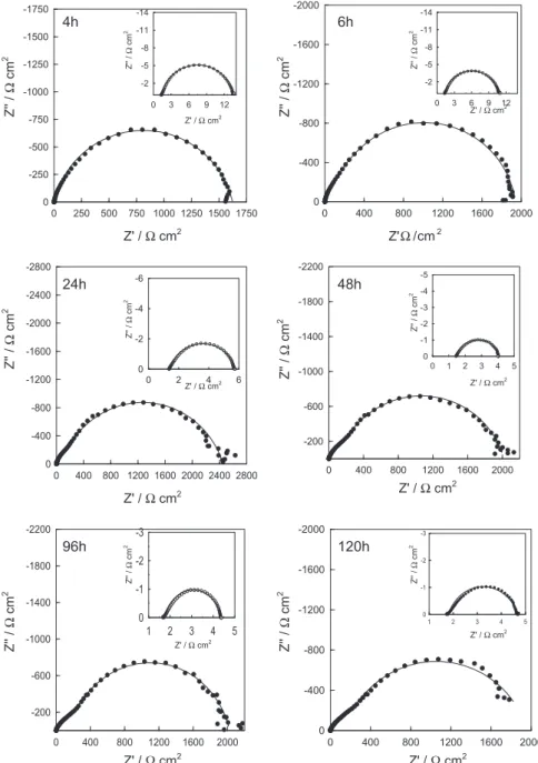Fig. 5. Nyquist plots of MS electrodes in 0.5 M H 2 SO 4 solution in the absence (inset) and presence of 10.0 mM N-AR after 4 h, 6 h, 24 h, 48 h, 96 h and 120 h exposure time (solid lines show ﬁtted results).