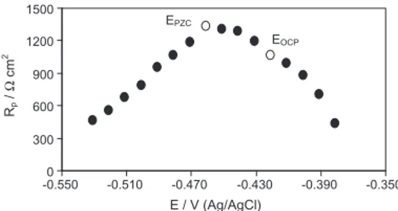 Fig. 12. The plots of R p versus electrode potential for MS containing 10.0 mM N-AR in 0.5 M H 2 SO 4 .
