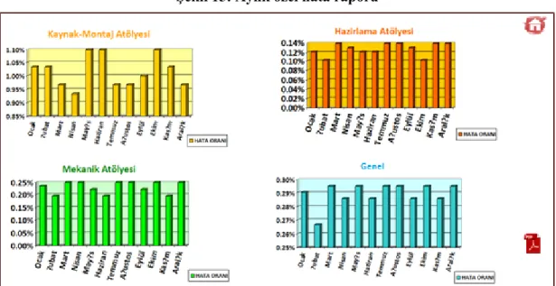 Şekil 16: Aylık hata raporu grafikleri  