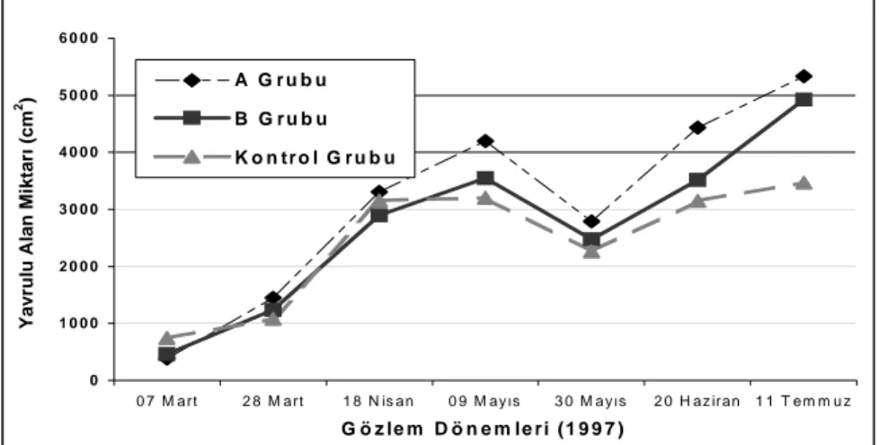 Şekil 1. Araştırmada Kullanılan Arı Koloni Gruplarının Ortalama Yavrulu Alan Miktarı  İle Dönemler Arasındaki İlişkisi