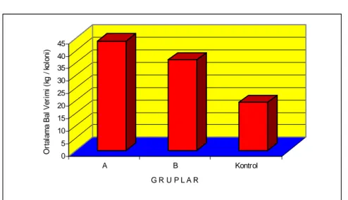 Şekil 3. Arı Koloni Gruplarından Elde Edilen Ortalama Bal Verimi (kg/koloni).