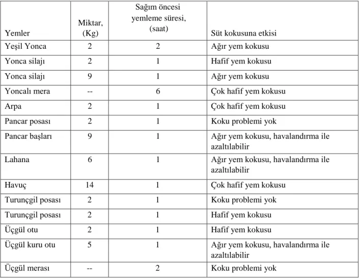 Tablo 4. Yemler ve Süt Kokusuna Etkileri  