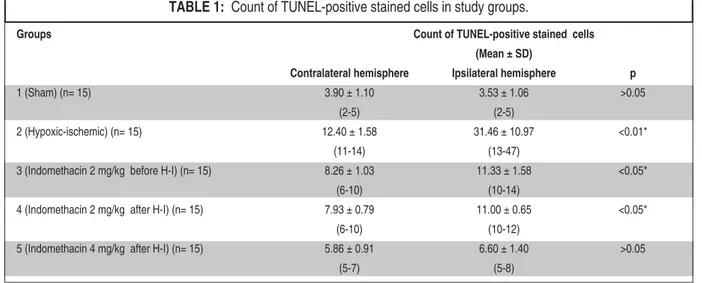 TABLE 1:  Count of TUNEL-positive stained cells in study groups.