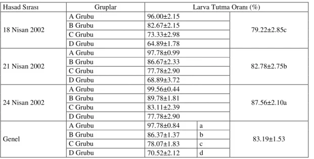 Çizelge 1. Araştırma Grubu Kolonilerde Larva Tutma Oranı (%) 
