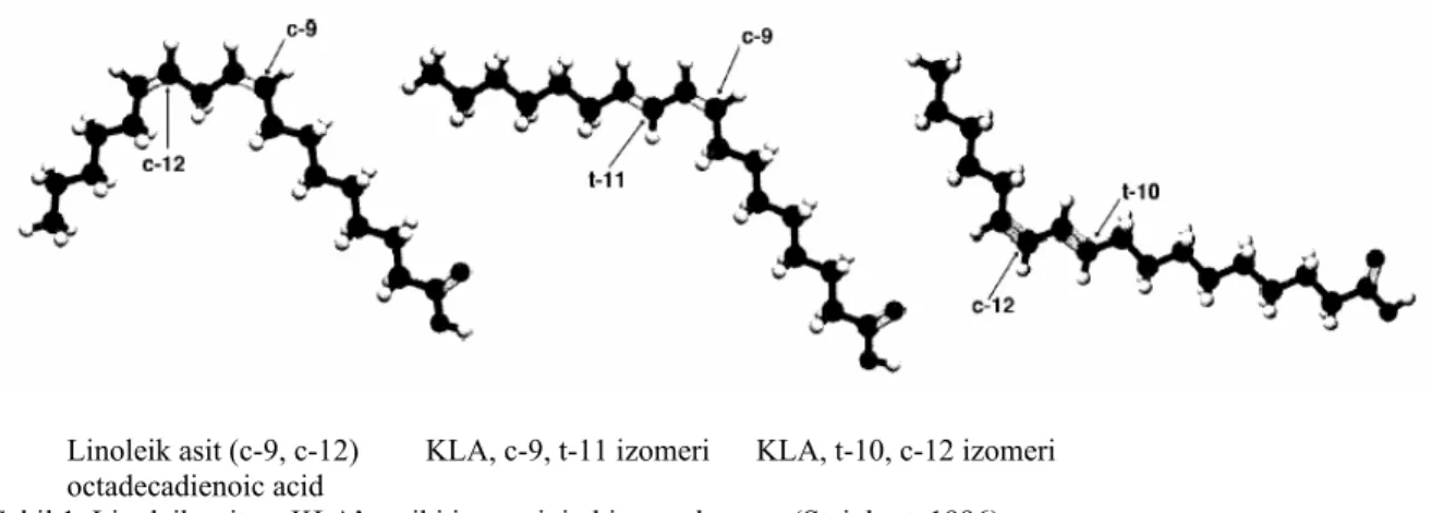 Şekil 1. Linoleik asit ve KLA’nın iki izomerinin kimyasal yapısı (Steinhart, 1996). 