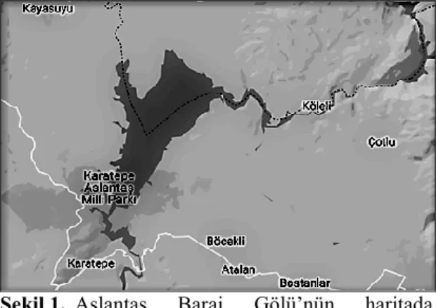 Şekil 1.  Aslantaş  Baraj  Gölü’nün  haritada  görünümü 