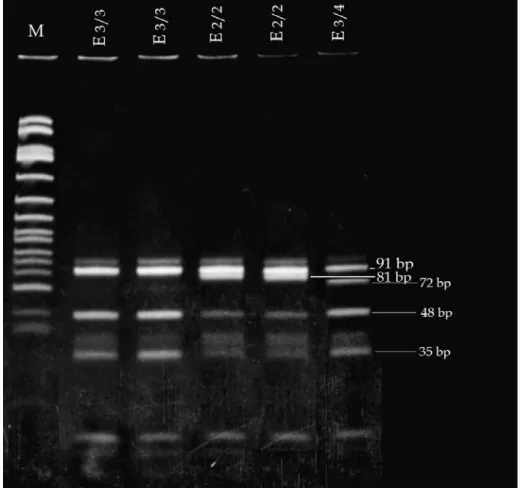 Fig. 3. The apoE gene 