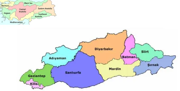 Figure 1.  Map showing the provinces survey in the Southeast Anatolia Region of Turkey 