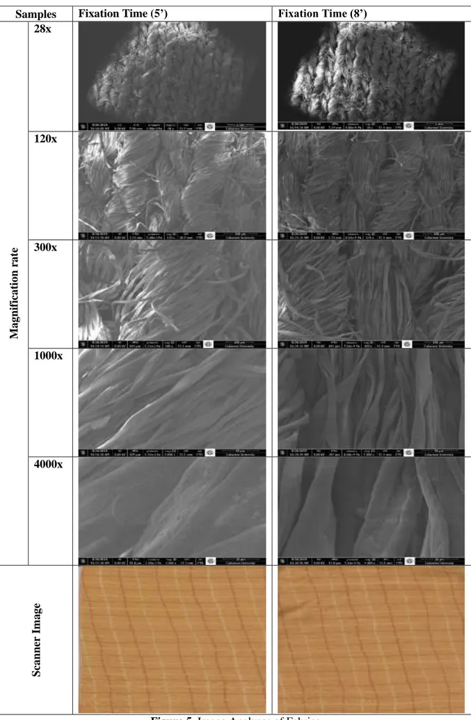 Figure 5. Image Analyses of Fabrics 