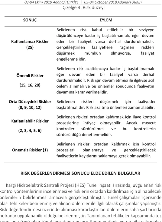 Çizelge 4. Risk düzeyi 