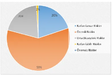 Şekil 1. Risk düzeyi