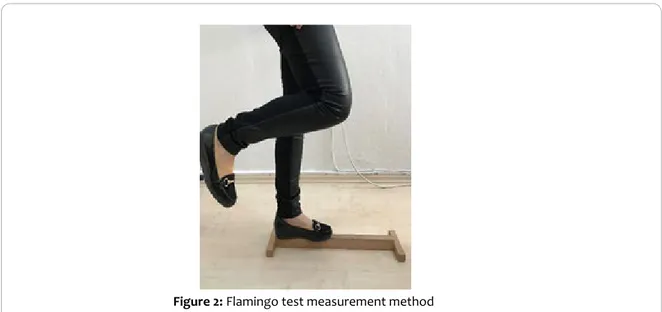 Figure 2: Flamingo test measurement method