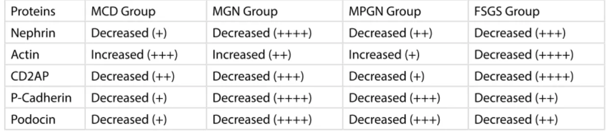 Table 1: Immunoelectron Microscopic Evaluation of Protein Expression Changes in Disease Groups.